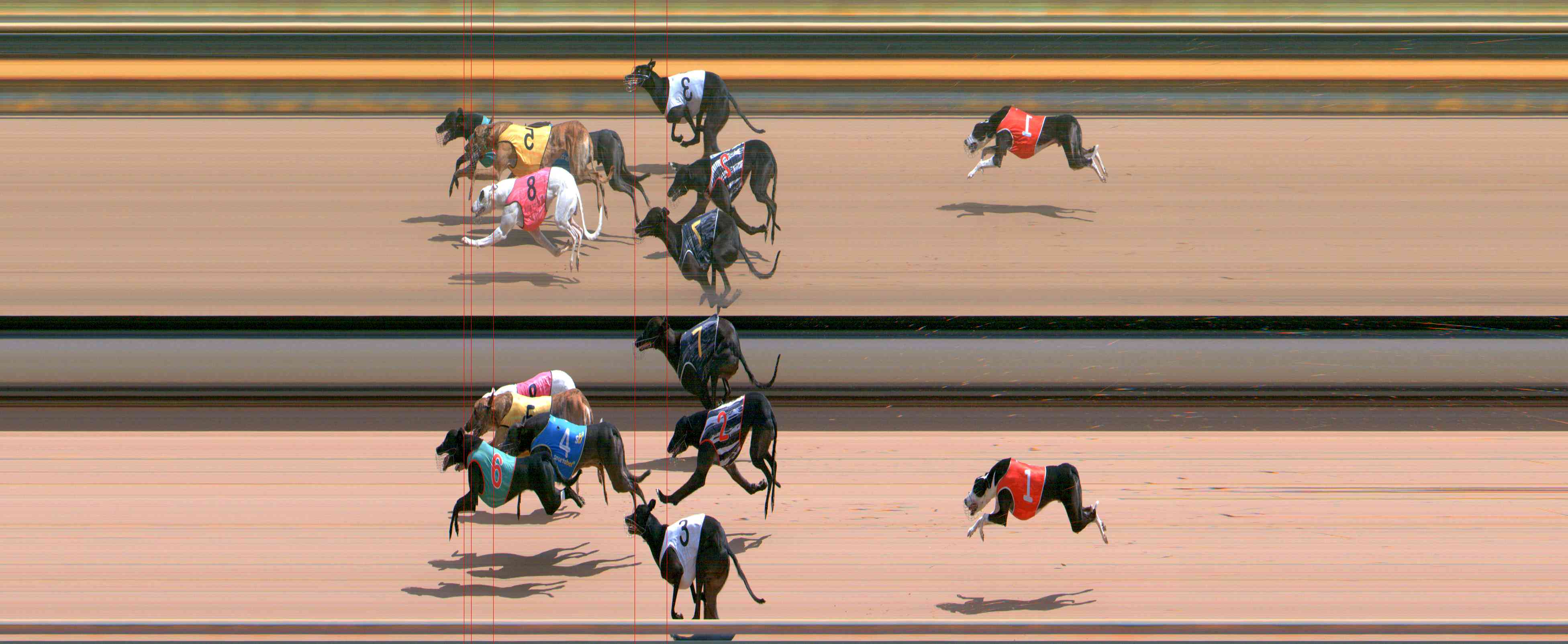 Photo finish for Healesville Race 11