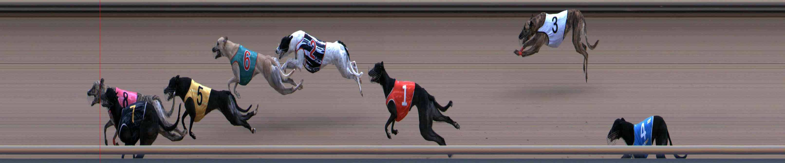 Photo finish for Healesville Race 12