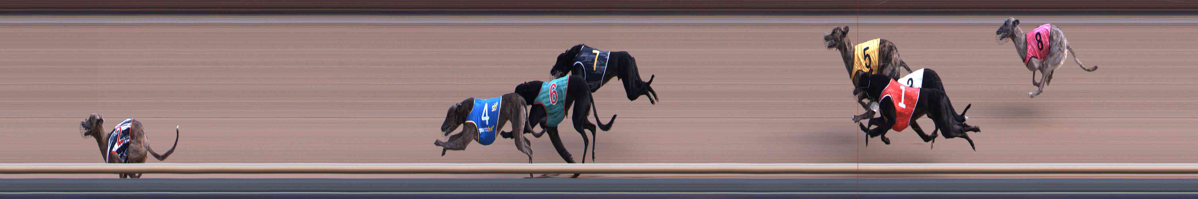 Photo finish for Healesville Race 1
