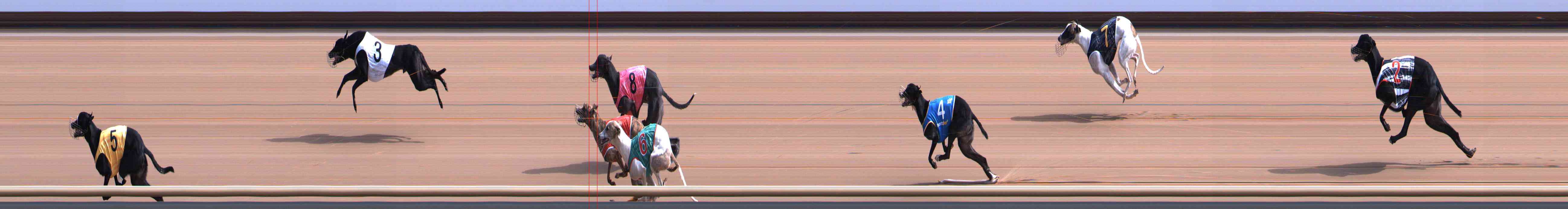 Photo finish for Healesville Race 2