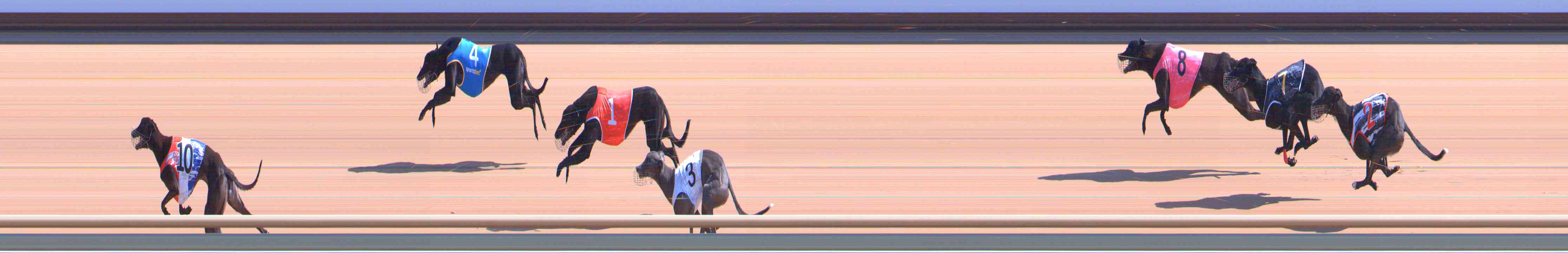 Photo finish for Healesville Race 3