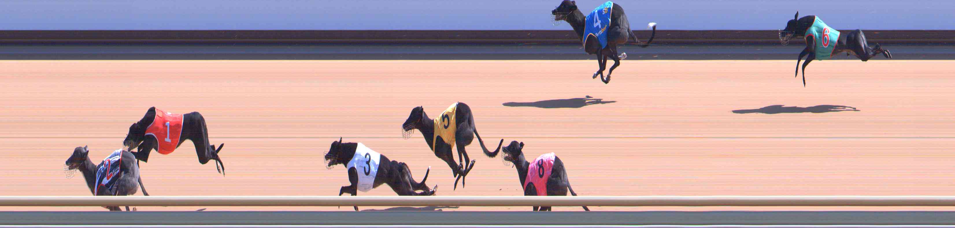 Photo finish for Healesville Race 4