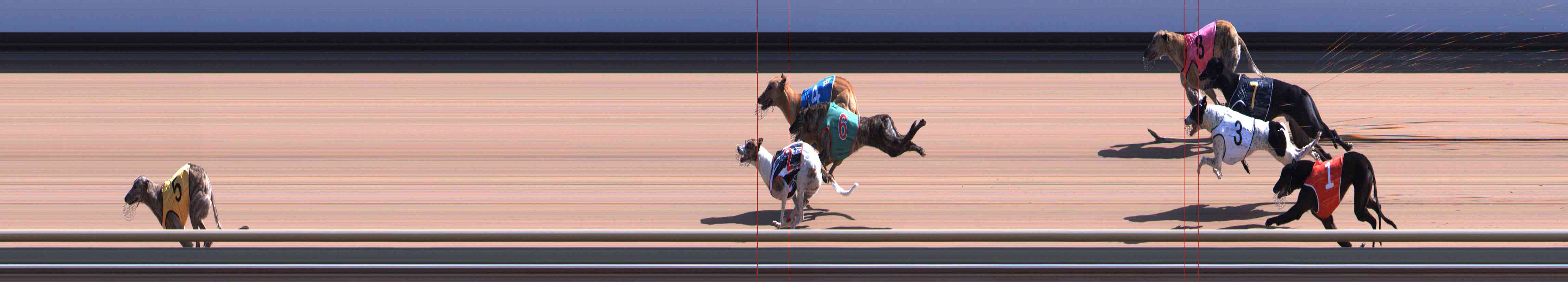 Photo finish for Healesville Race 5