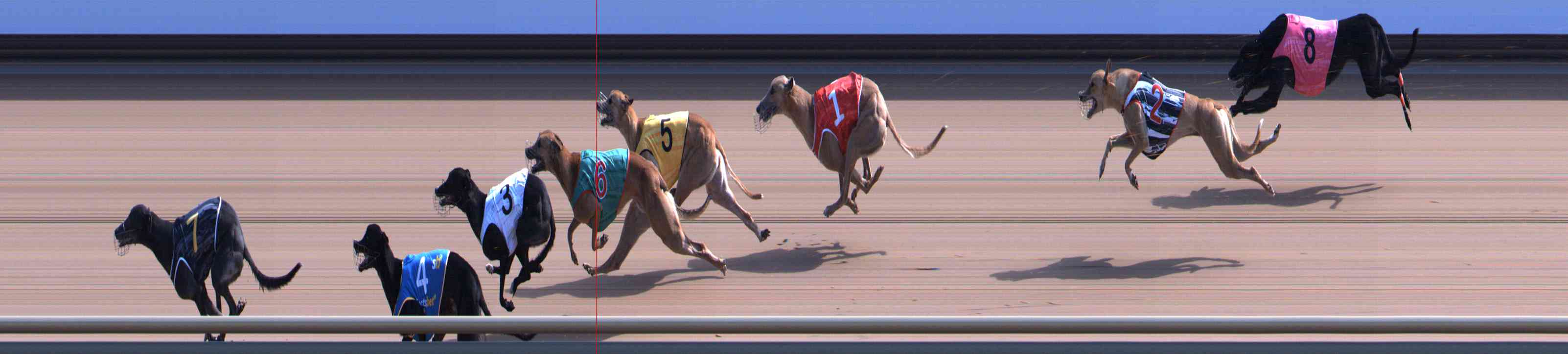 Photo finish for Healesville Race 6