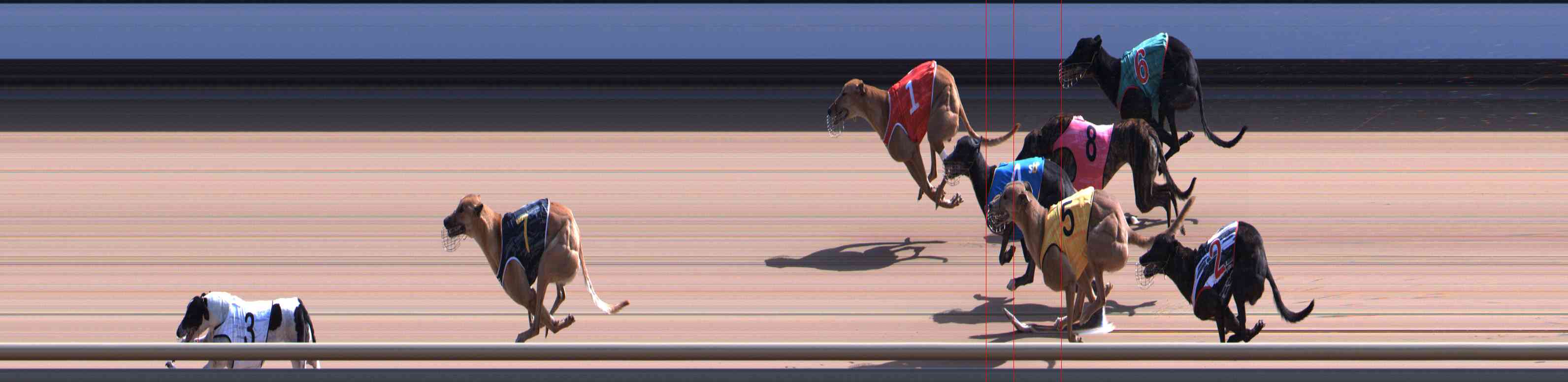 Photo finish for Healesville Race 7