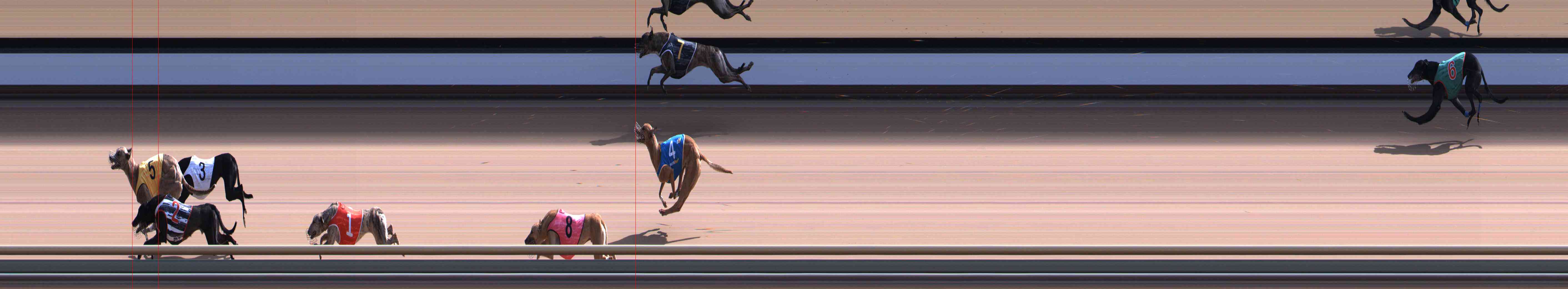 Photo finish for Healesville Race 8