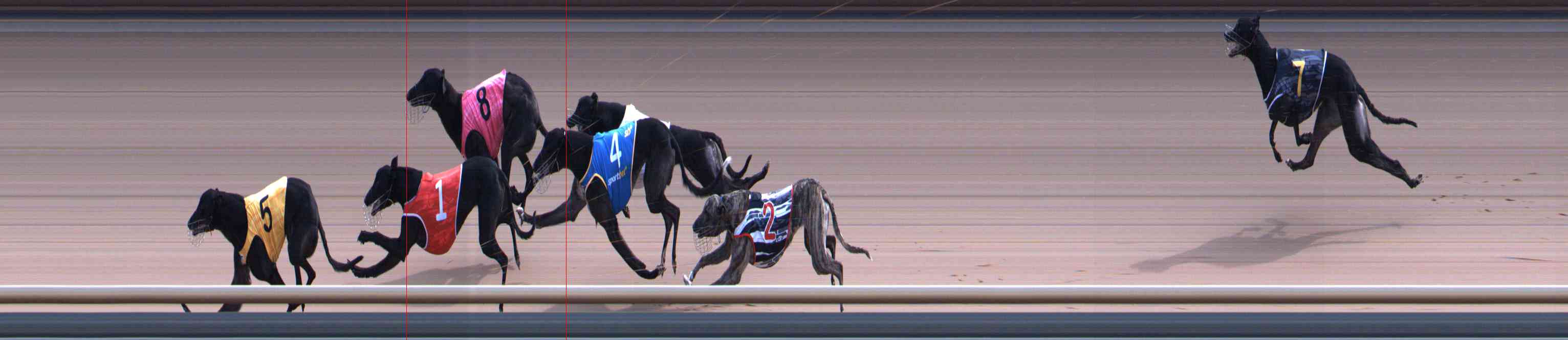 Photo finish for Healesville Race 9