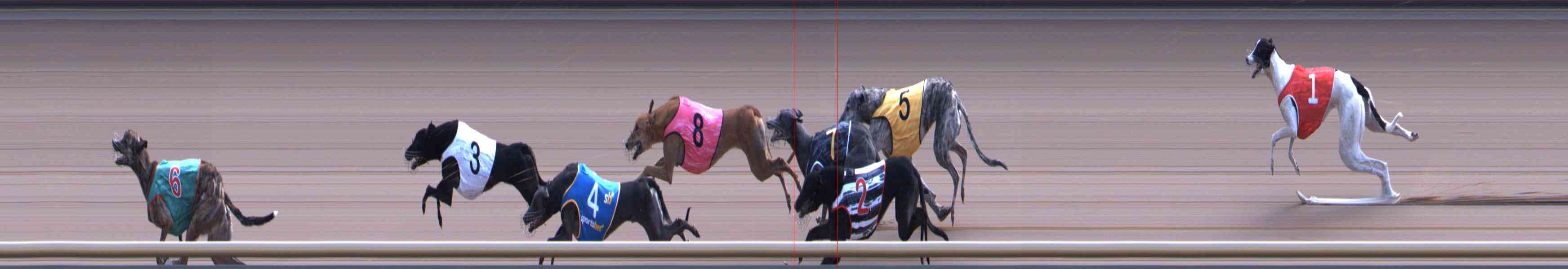 Photo finish for Healesville Race 10