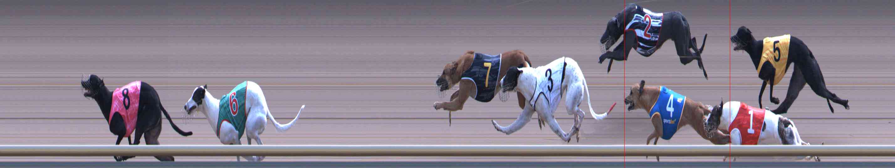 Photo finish for Healesville Race 11