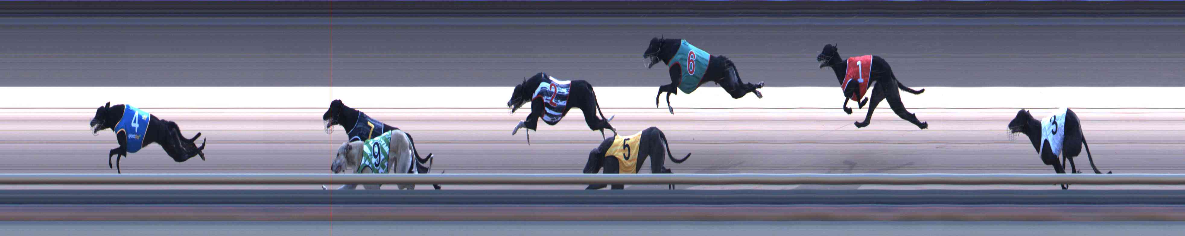 Photo finish for Healesville Race 12