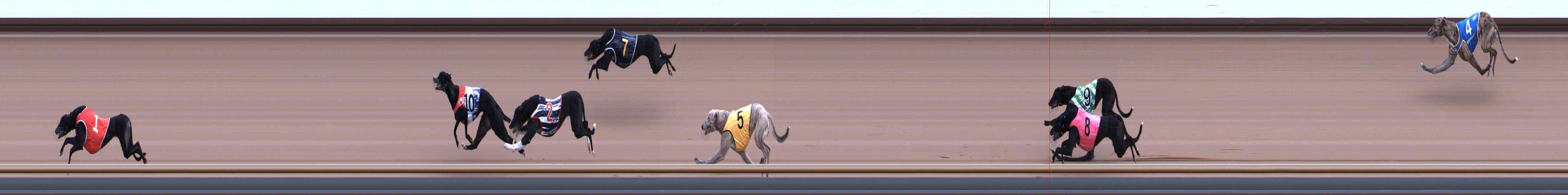 Photo finish for Healesville Race 1