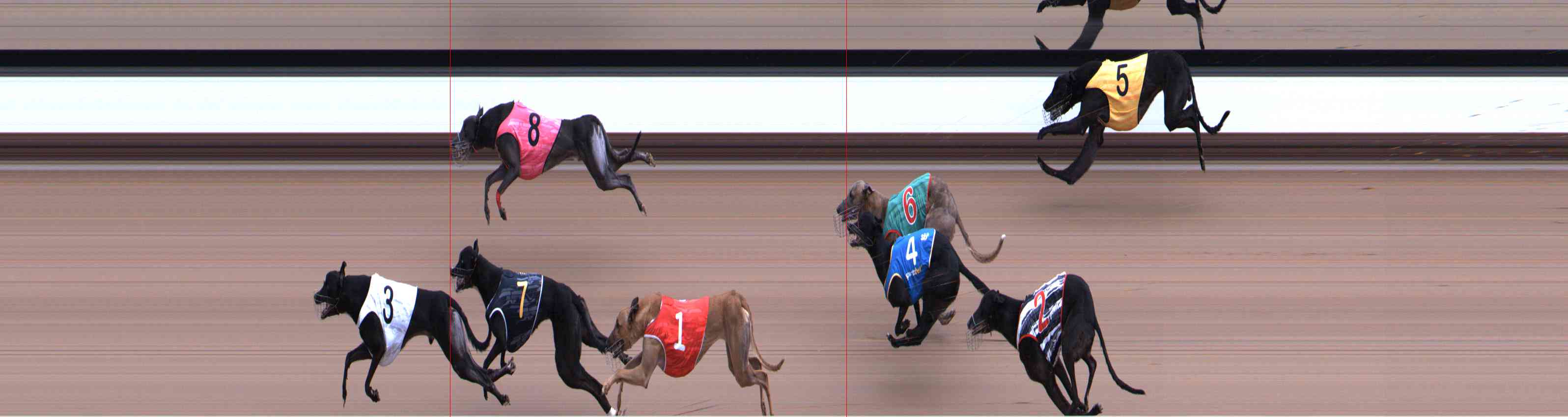 Photo finish for Healesville Race 2