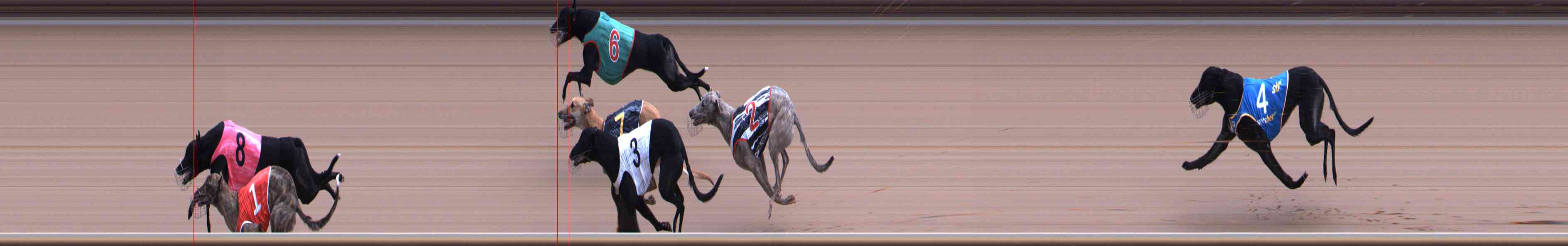 Photo finish for Healesville Race 4