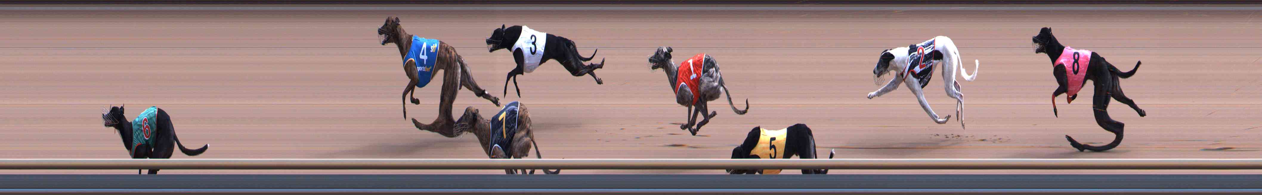 Photo finish for Healesville Race 5