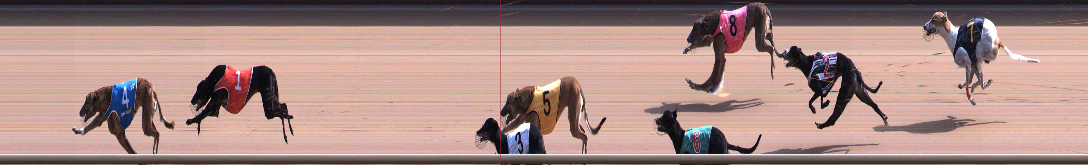 Photo finish for Healesville Race 6