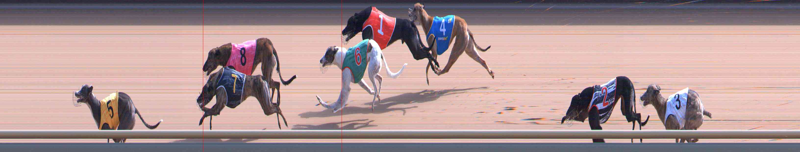 Photo finish for Healesville Race 7