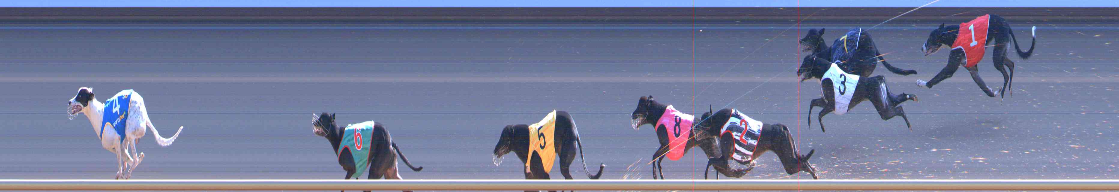 Photo finish for Healesville Race 10