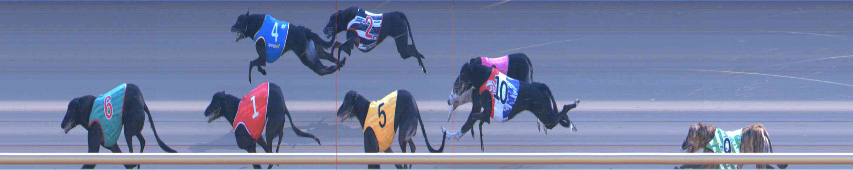 Photo finish for Healesville Race 11