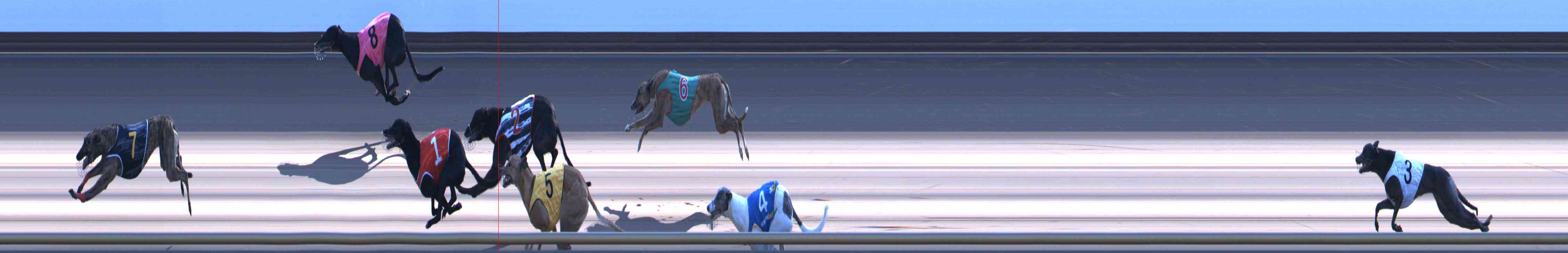 Photo finish for Healesville Race 12