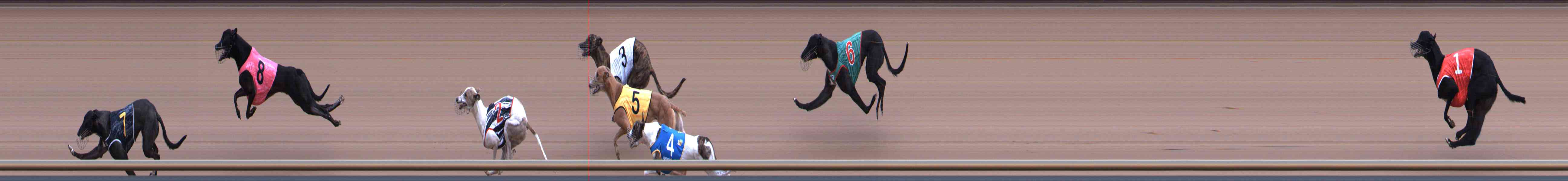 Photo finish for Healesville Race 1