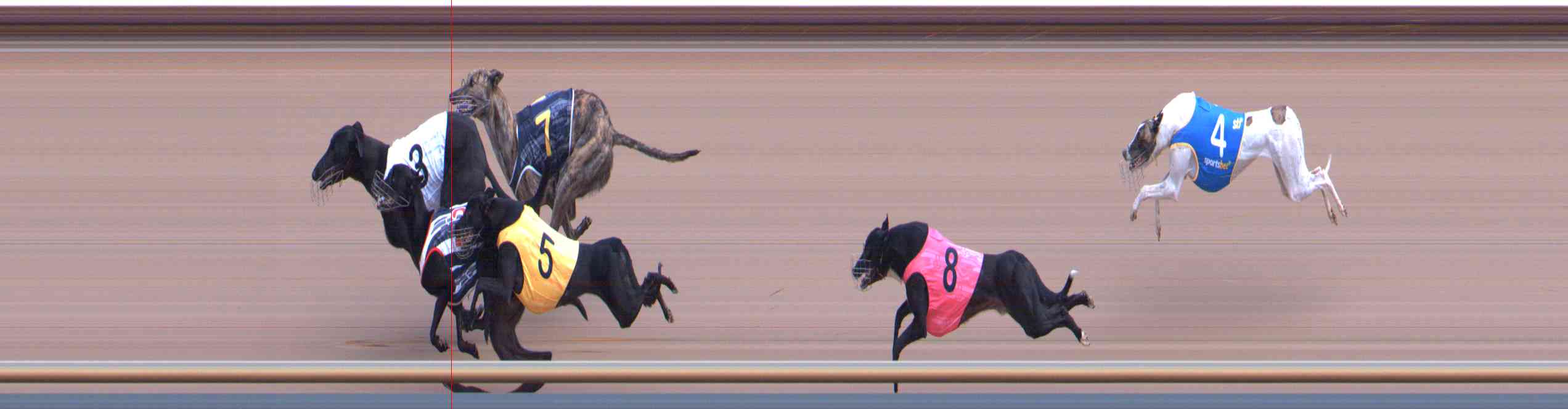 Photo finish for Healesville Race 2