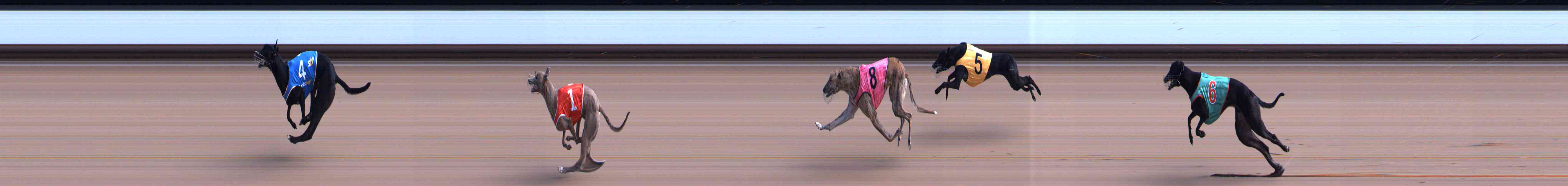 Photo finish for Healesville Race 3