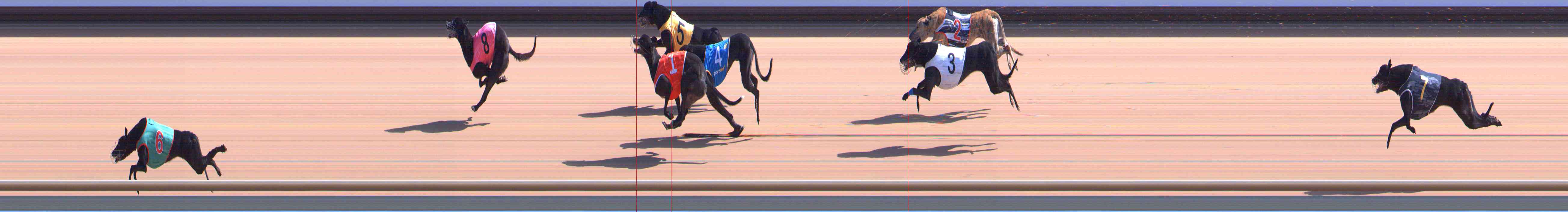 Photo finish for Healesville Race 4