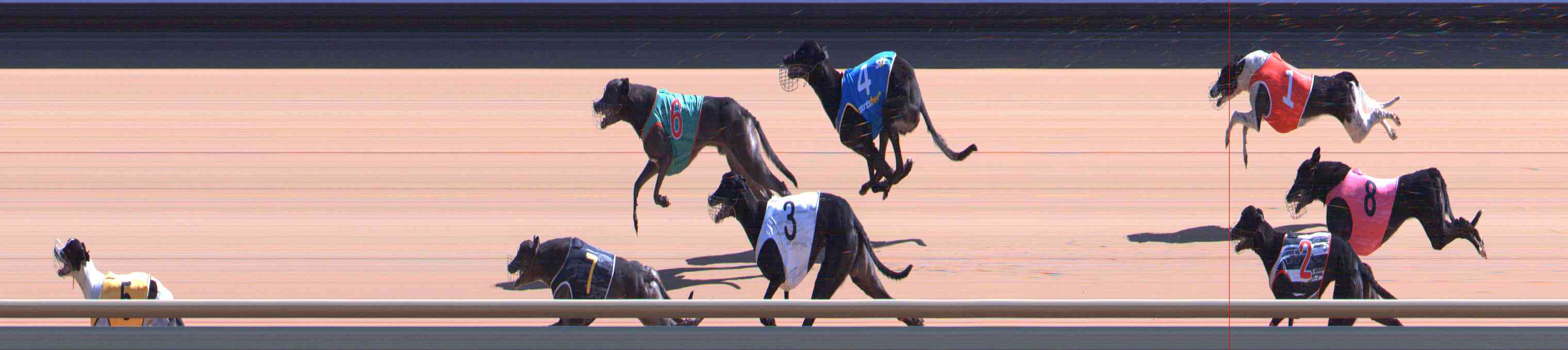 Photo finish for Healesville Race 6