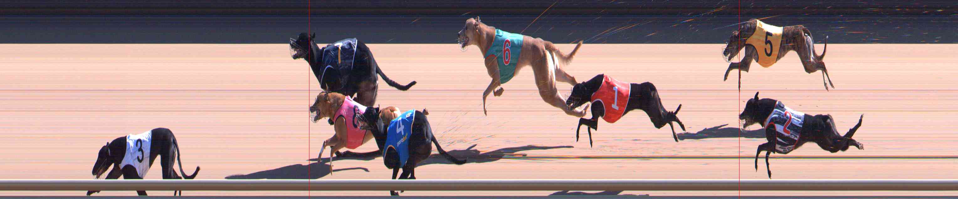 Photo finish for Healesville Race 7