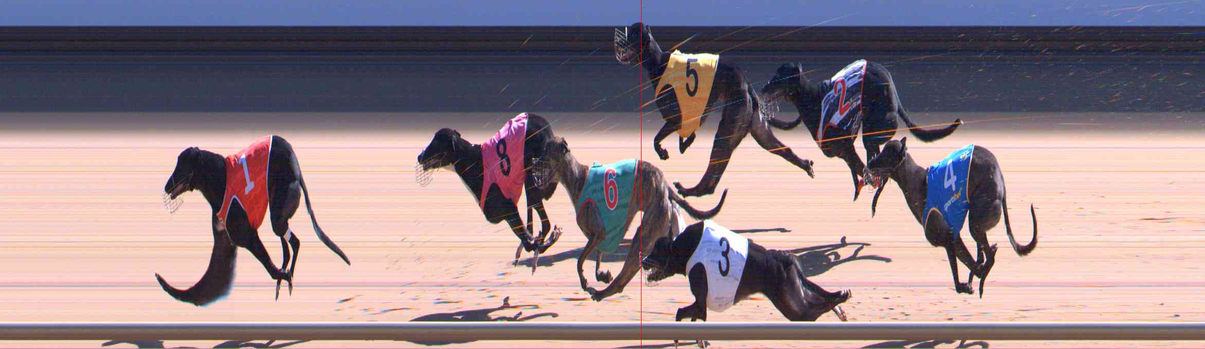 Photo finish for Healesville Race 8
