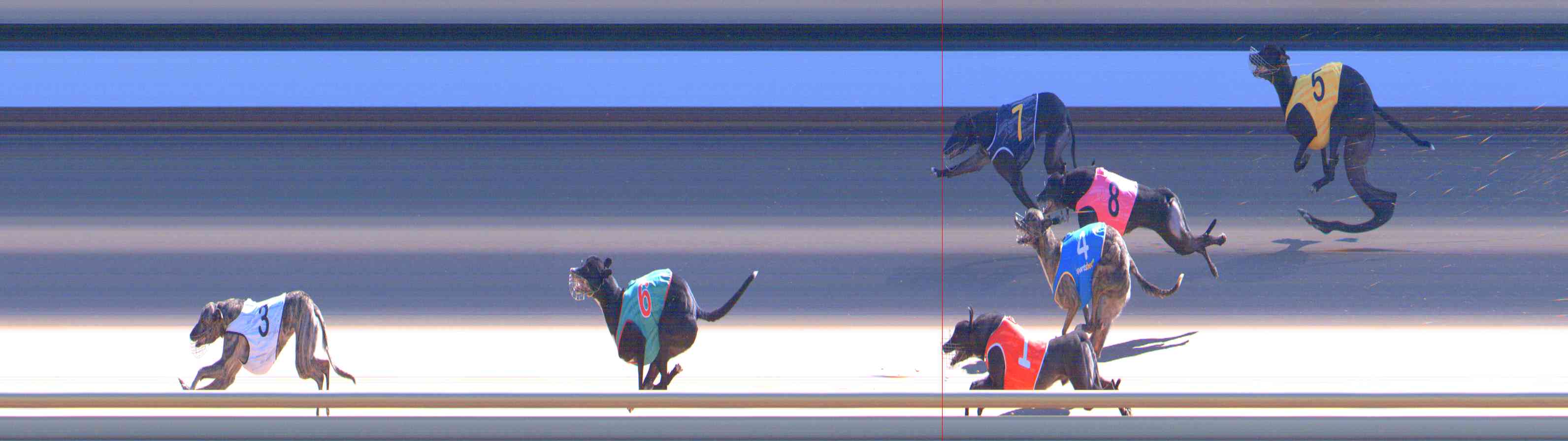 Photo finish for Healesville Race 9