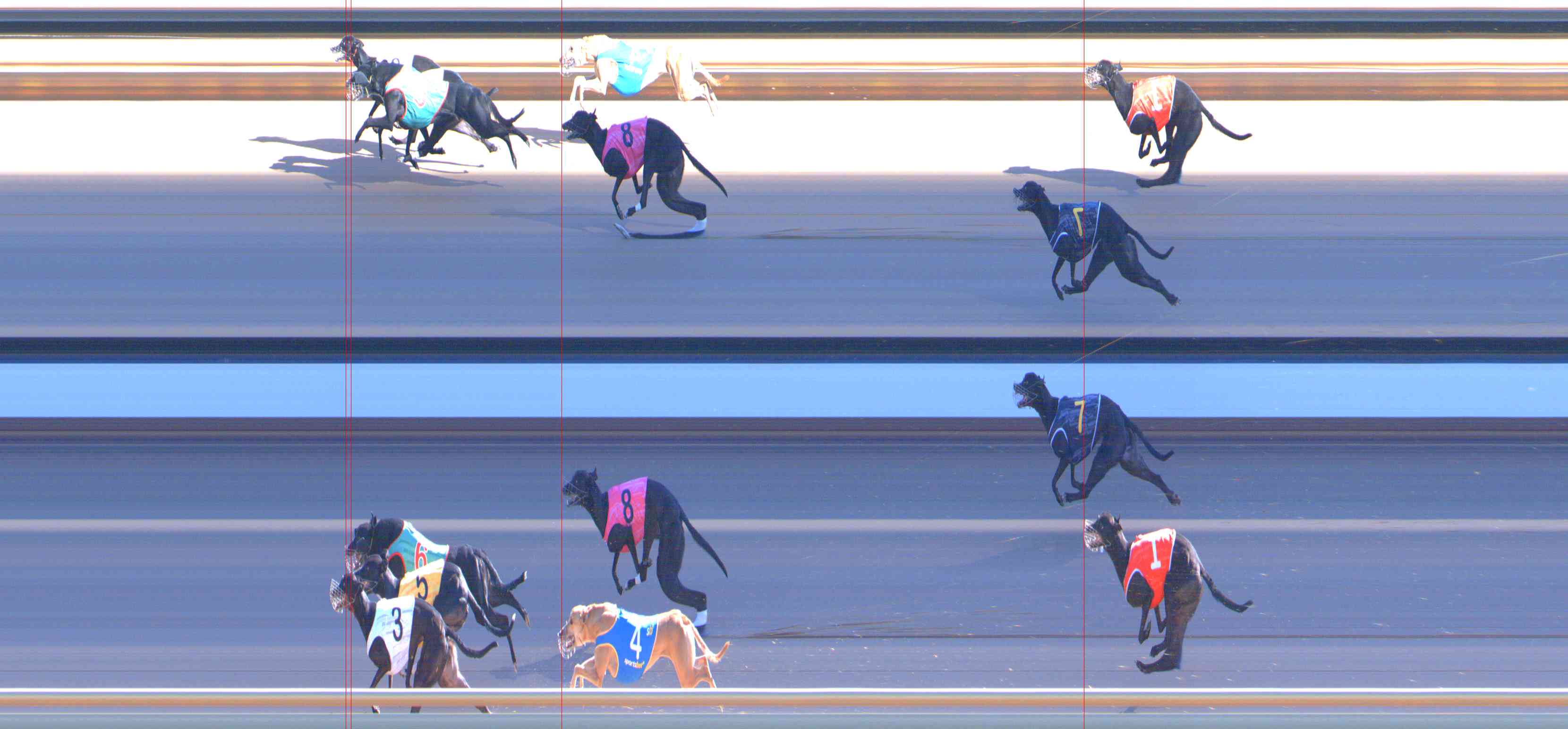 Photo finish for Healesville Race 10