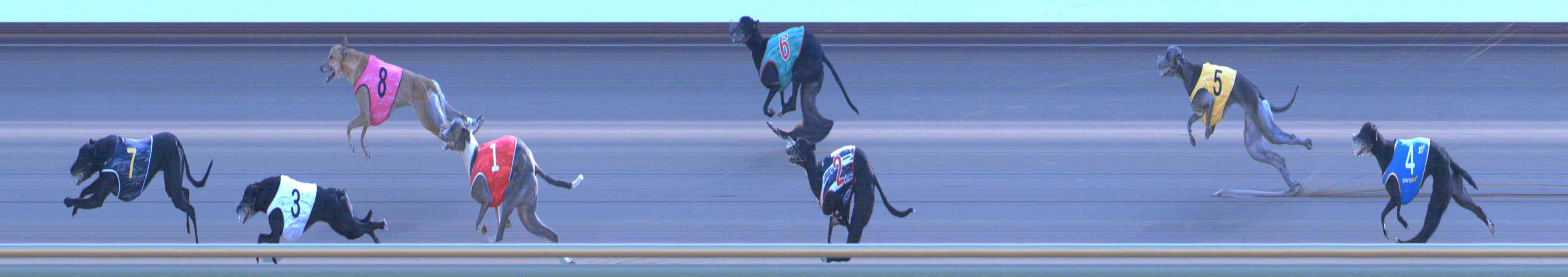 Photo finish for Healesville Race 11