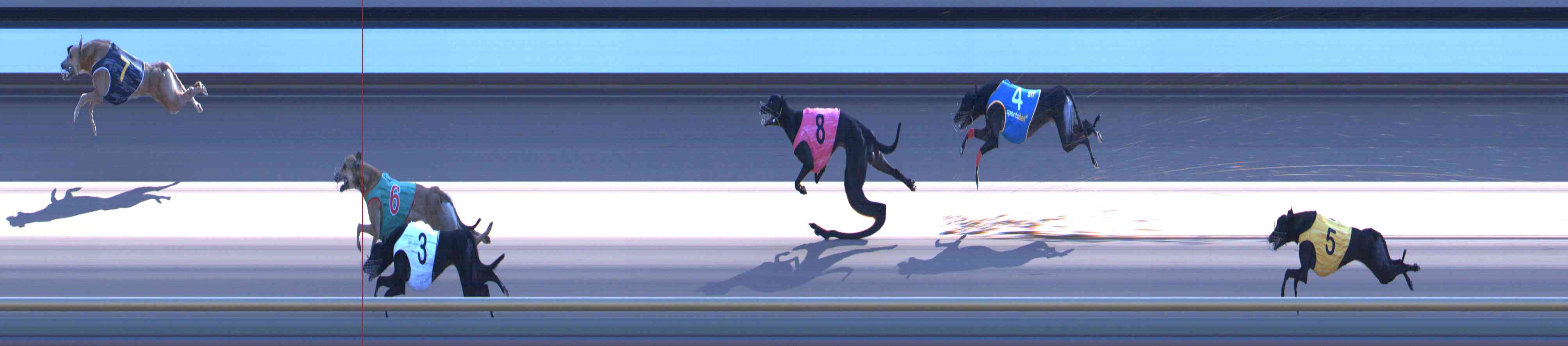 Photo finish for Healesville Race 12