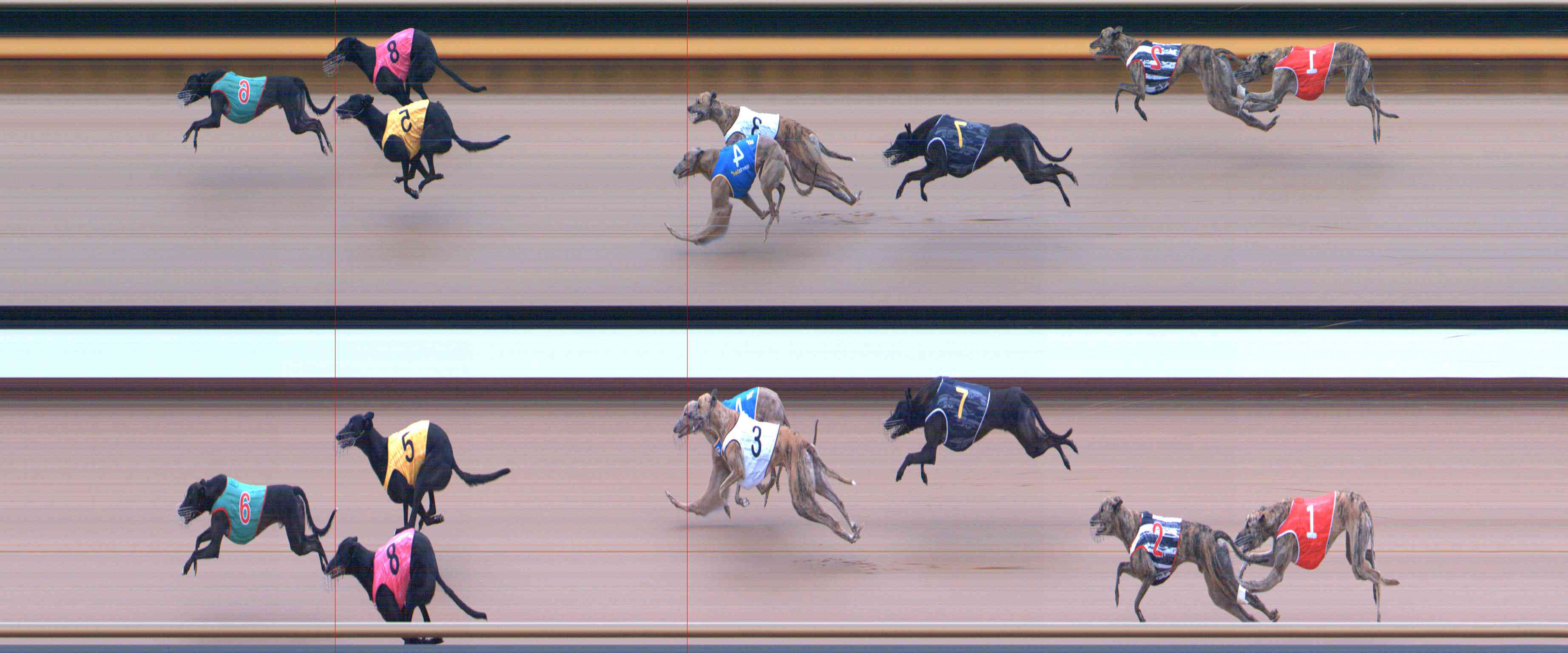 Photo finish for Healesville Race 2