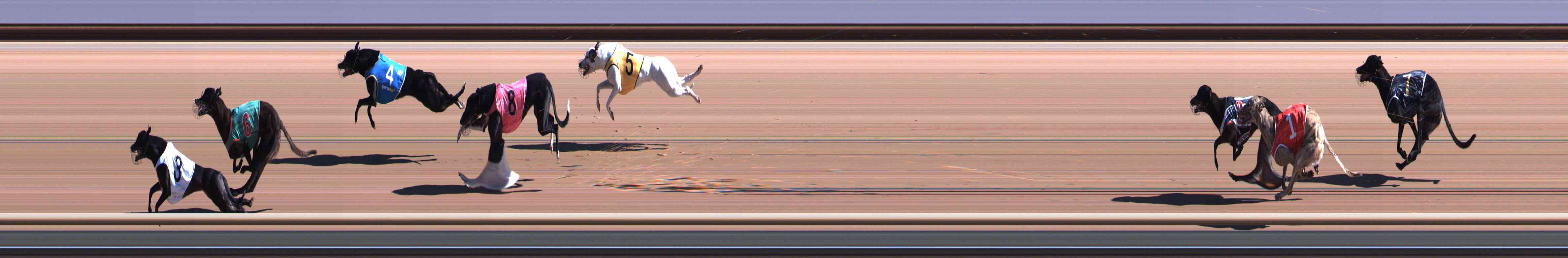 Photo finish for Healesville Race 1