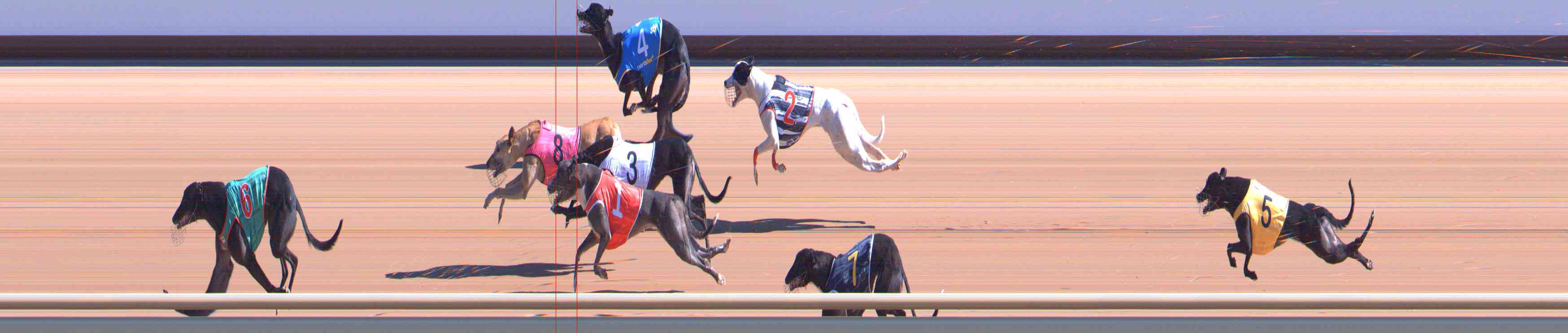 Photo finish for Healesville Race 2