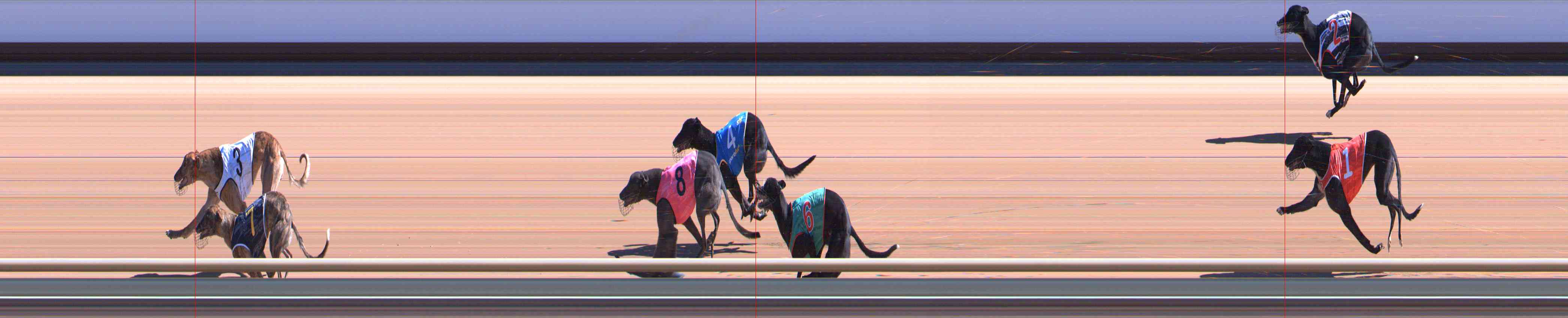 Photo finish for Healesville Race 3