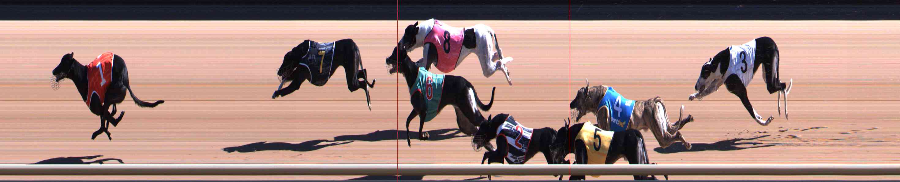 Photo finish for Healesville Race 4