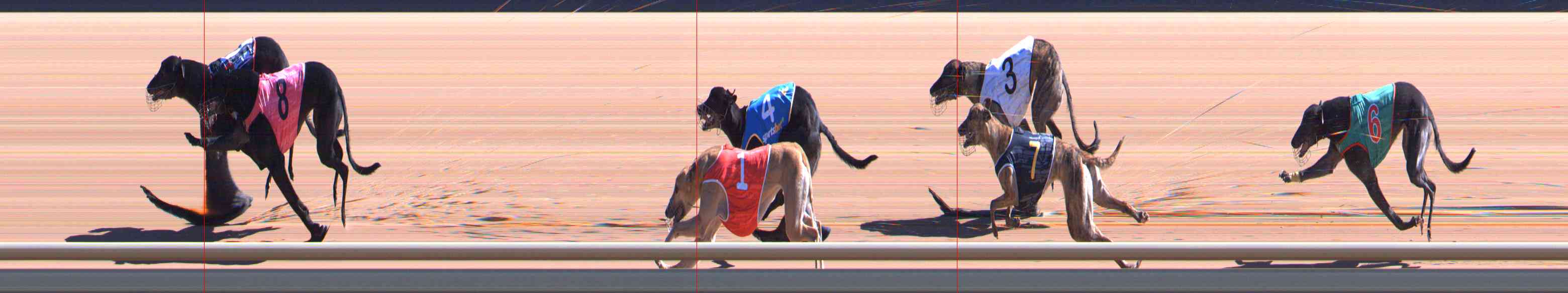 Photo finish for Healesville Race 5
