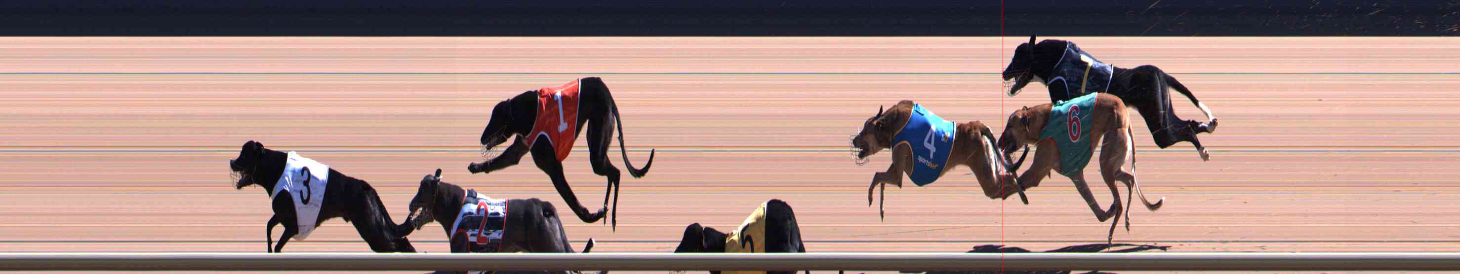 Photo finish for Healesville Race 6
