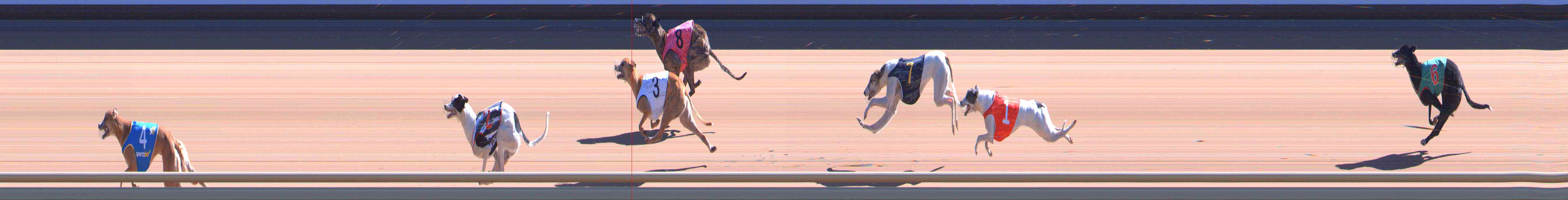 Photo finish for Healesville Race 7