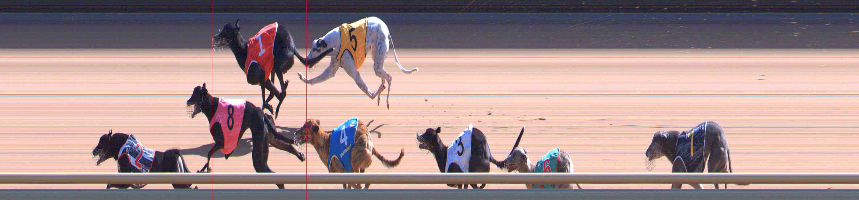 Photo finish for Healesville Race 8