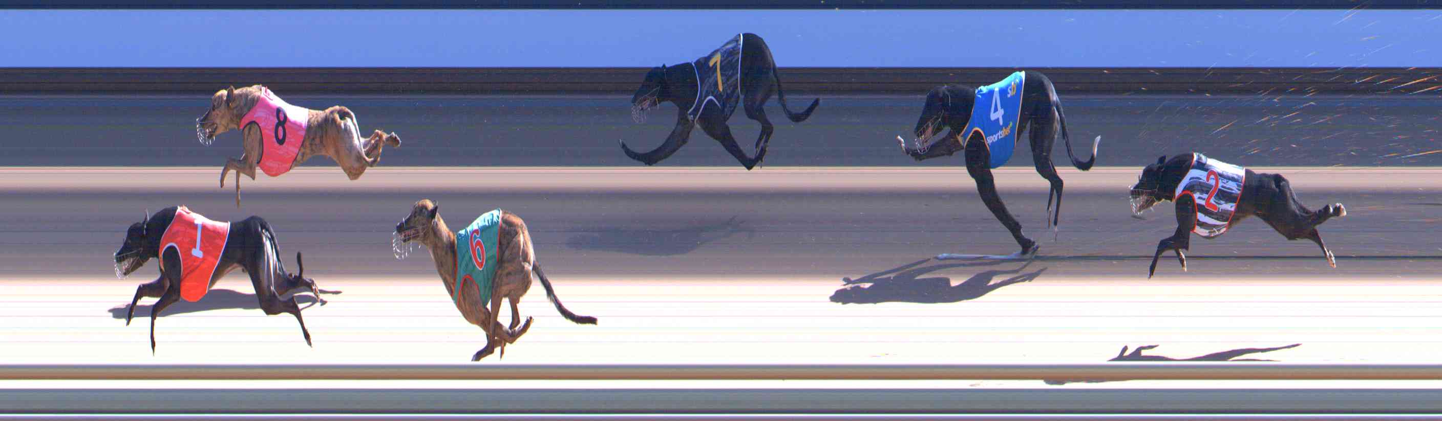 Photo finish for Healesville Race 9
