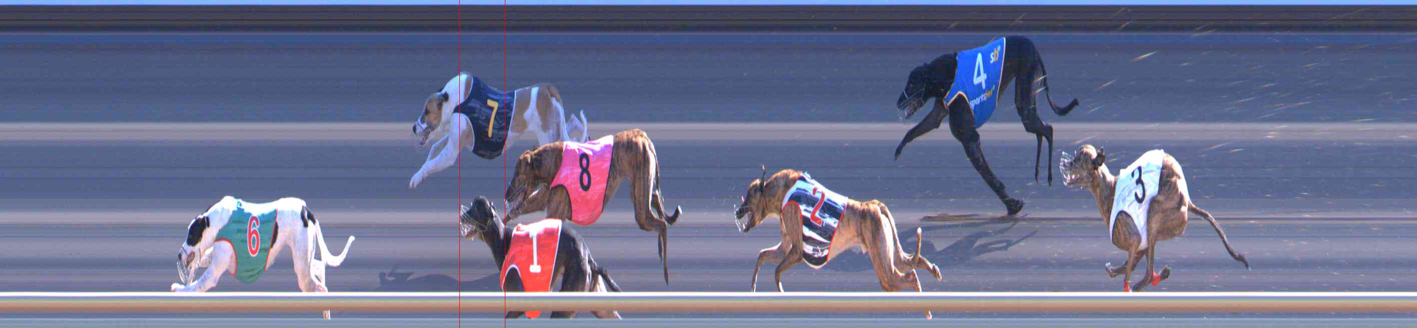 Photo finish for Healesville Race 10