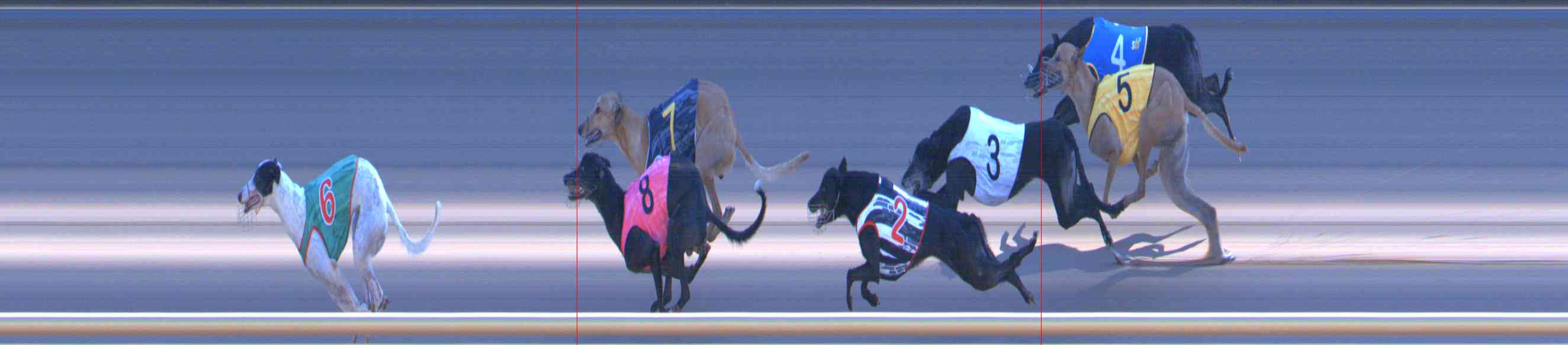 Photo finish for Healesville Race 11
