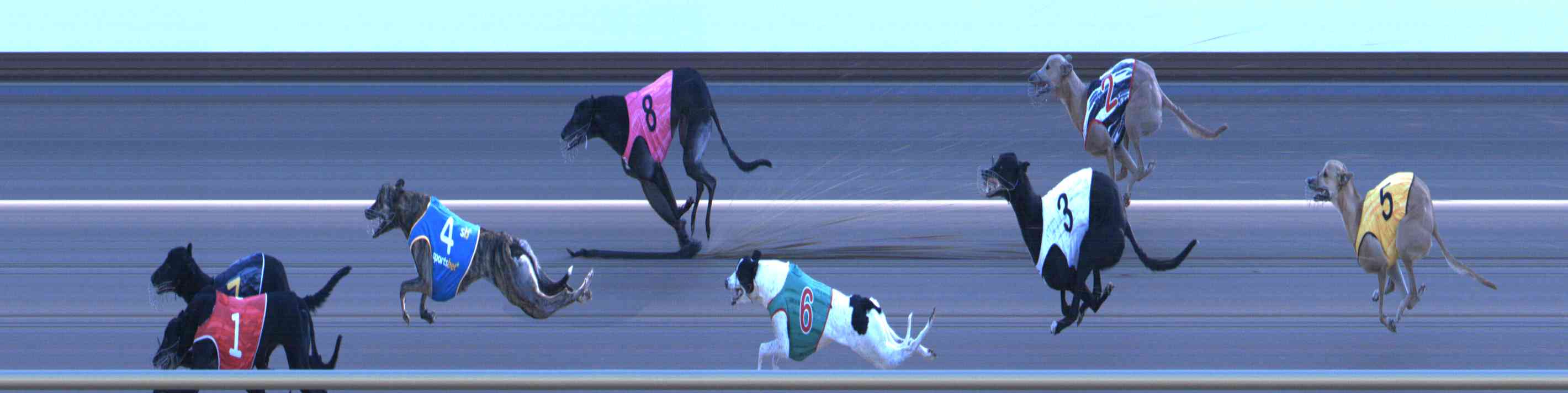 Photo finish for Healesville Race 12