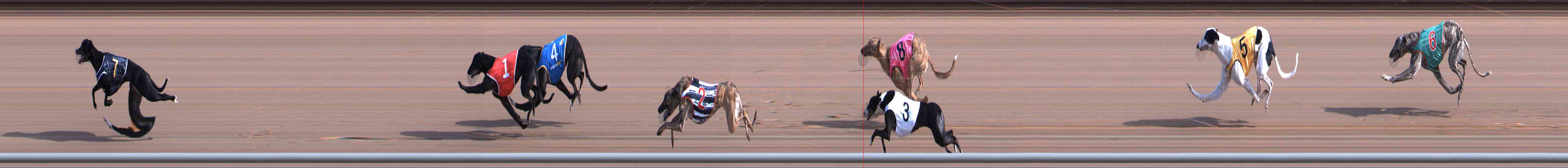 Photo finish for Healesville Race 1