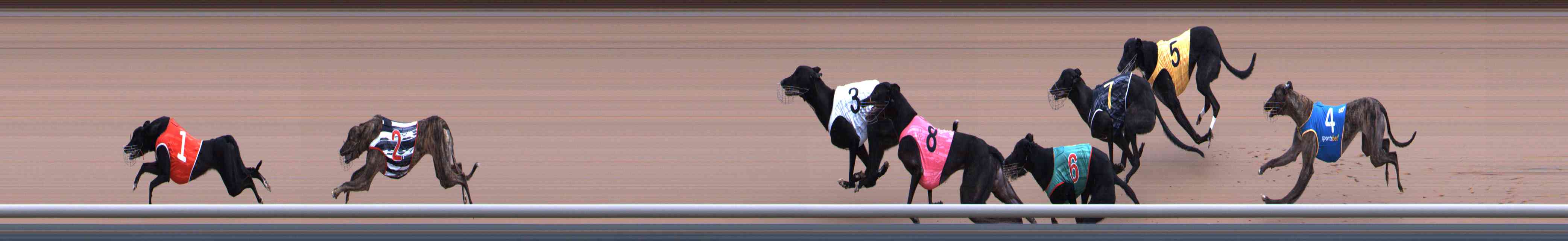 Photo finish for Healesville Race 2