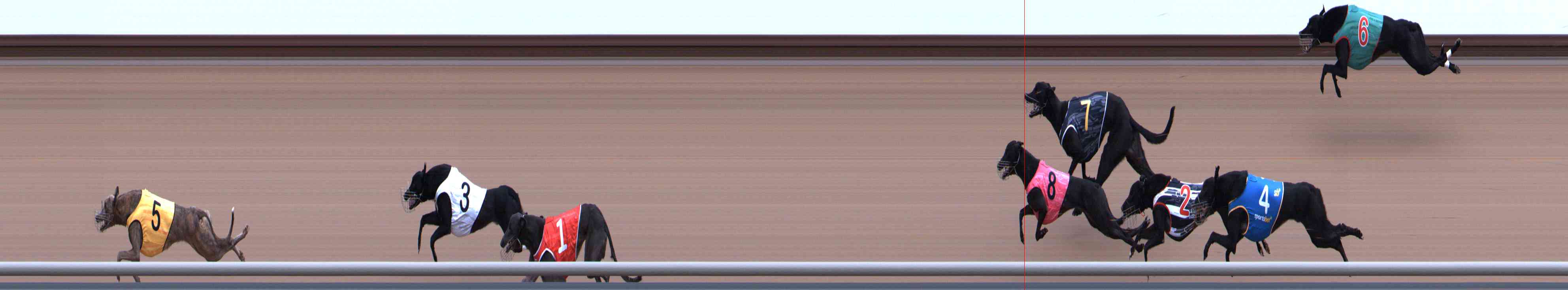 Photo finish for Healesville Race 3
